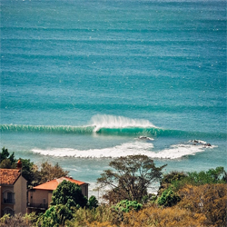 Tamarindo