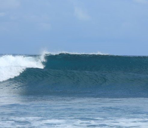 slider5-492x424-1.jpg